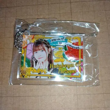 하타케야마 노조미 AKB48 다이마루 의상전 랜덤 가챠 아크릴 키링