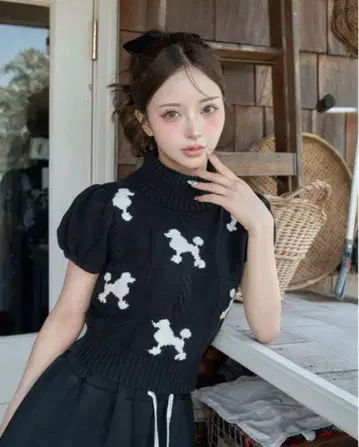 다리치 푸들 니트
