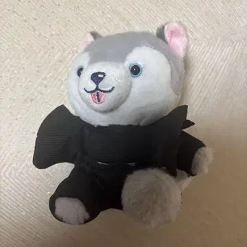SixTONES 마츠무라 호쿠토 앉은 봉제 인형 도우리견