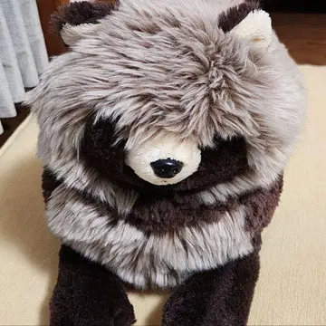 [ 중고 새상품급 ] 선레몬 무릎 너구리 봉제 인형 (M) P-6282