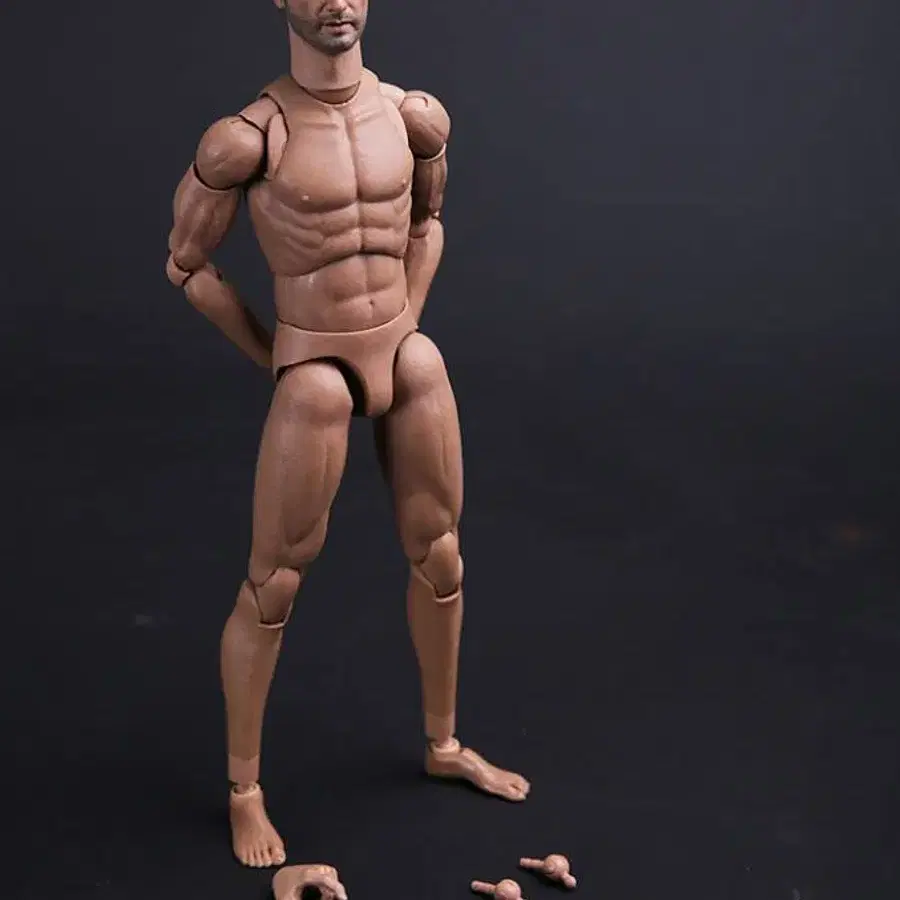 HOT TOYS | 핫토이즈 Damtoys Narrow Shoulder Muscular Body 2.0 +