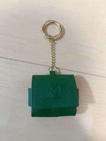 Mrs.GREENAPPLE 이어폰 케이스