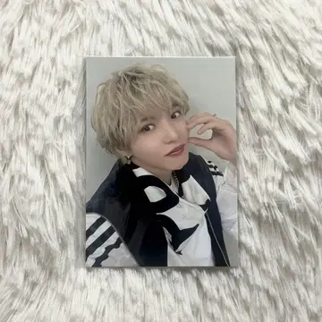 사토 다이키 Peppermint Yum 트레이딩 카드