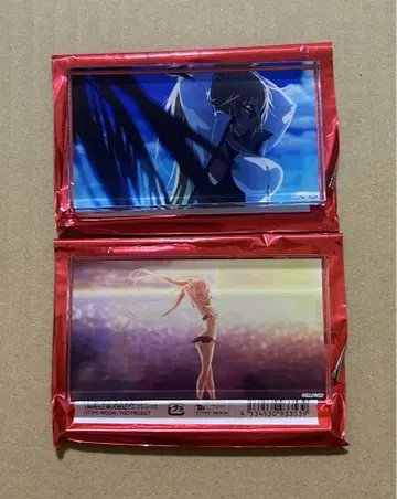 FGO 아크릴 블록 잔 다르크 메이브