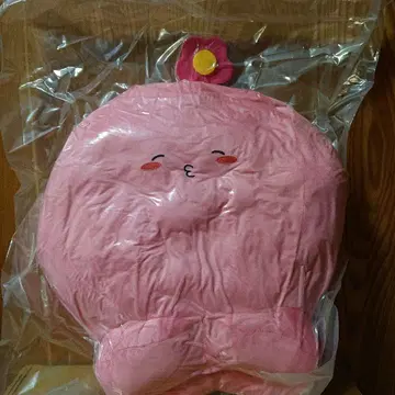 가격 인하 협상 타코피의 원죄 타코피 BIG 봉제인형 노멀 해피 꽃