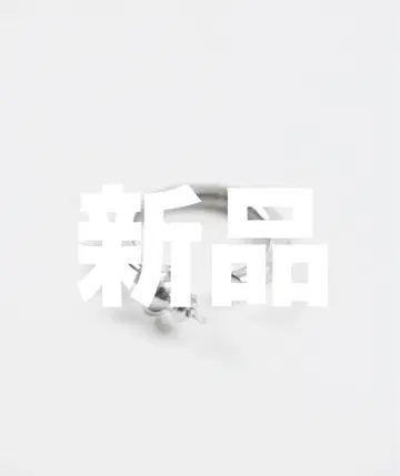 [ SINSS ] Silver 925 pierce / 실버925 귀걸이