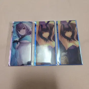 FGO 최종 재림전 편성 화면풍 카드 스카사하 스카디