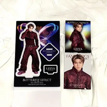 FANTASTICS 세구치 레야 묶음 판매