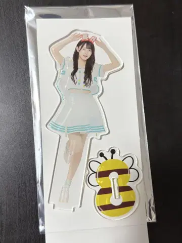 AKB48 다이마루 의상전 랜덤 아크릴 스탠드 쿠보 히나노