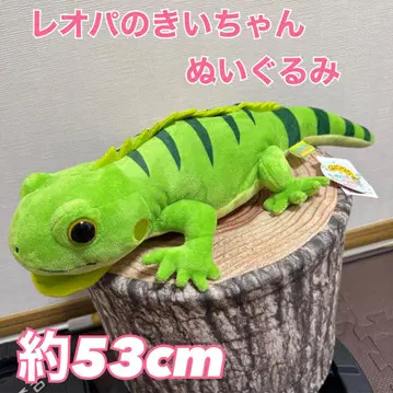 레오파의 키이쨩 봉제 인형 이구아나 봉제 인형