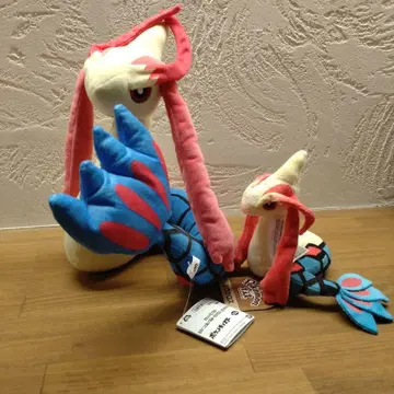 포켓몬스터 밀로카로스 (모후굿토 봉제인형 포켓몬 센터)