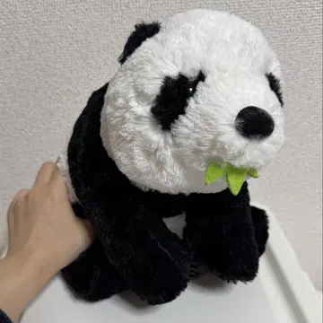 팬더 봉제 인형