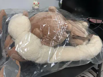 버튼의 이브이 백팩