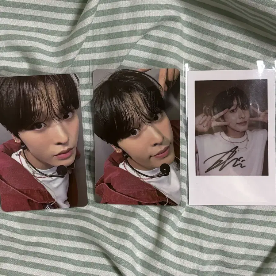 NCT WISH Songbird KMS 1.0 | Buy from Bunjang via Kfriday Proxy