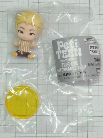 호시 HOSHI PetiTEEN from SEVENTEEN 앉은 자세대