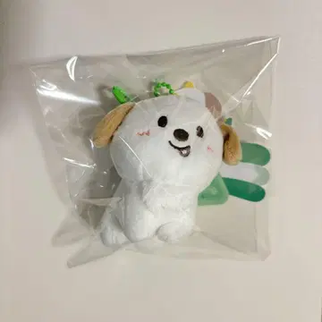 RIIZE 앤톤 몽룡이