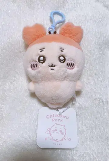 치이카와 파크  마스코트 헌책방 카니짱