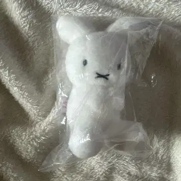 미피 70주년 70th 나인체 퍼스트 미피 마스코트