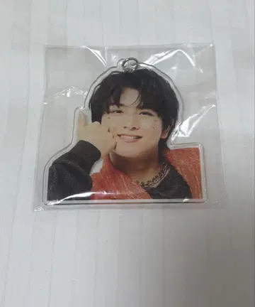 초특급 카시와기 하루 아크링 키링