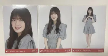 브로마이드 오가와