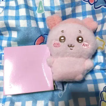 치이카와   시리즈 헌책방 카니짱