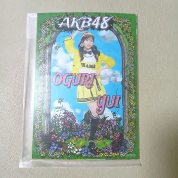 오구리 유이 AKB48 다이마루 의상전 개인 브로마이드