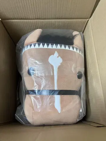 두듀스 아이돌 호스로 카모치