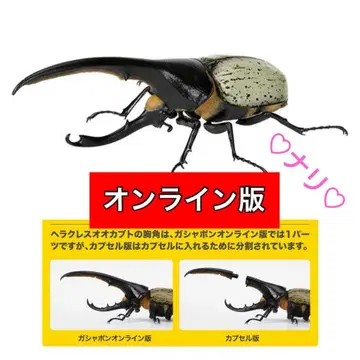 온라인판 헤라클레스 리키 개 (블루) 생물대도감 장수풍뎅이07