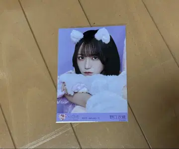 노구치 이오리 고양이 의상 브로마이드