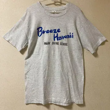 프룻 오브 더 룸 Breeze Hawaii USA 제조 싱글 스티치 L