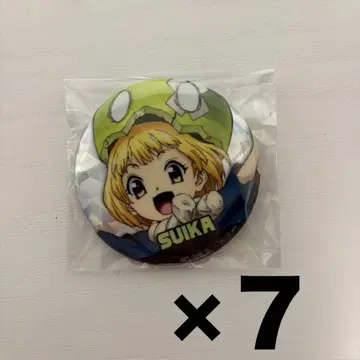 Dr.STONE 수박 캔뱃지 7세트