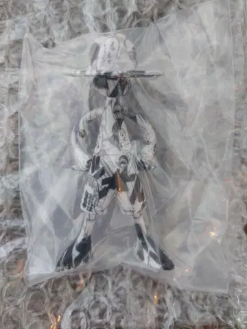 루피즈 해적왕이 될 거야!!!!