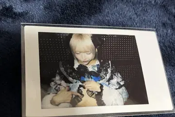 하야테 러브식 핀 폴라로이드
