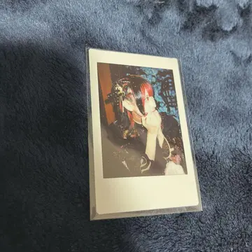하야테 러브식 핀체키