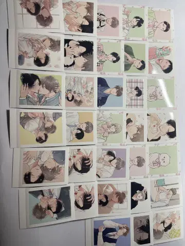 귀상사 고쿠데라 씨는 폭로되고 싶어. 전 파샤코레 33매 세트 금박 있음