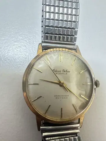CITIZEN 시티즌 DELUXE PARASHOCK 19 JEWELS