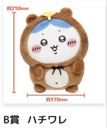 치이카와 너구리인걸 복권 B상 하치와레 너구리 봉제 인형 S