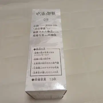 주술회전 19권의 부록