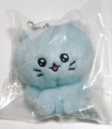체고짐 최고심 네코고심