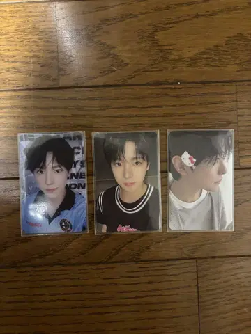 nct wish steady 유우시