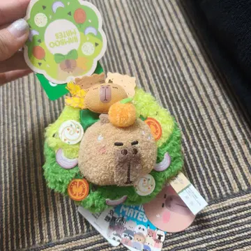 카피바라 봉제 인형 중국 한정 판매