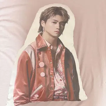 세구치 레야 FANTASTICS BOT 쿠션