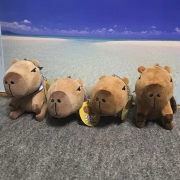 100엔 오락 고라카피 봉제 인형 전종 세트