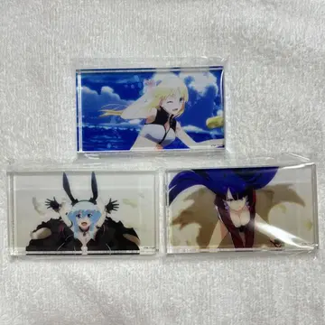FGO 아크릴 블록 알트리아 마르타 메어리