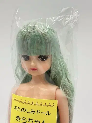 키라짱 오타노시미 인형 아이스 블루 계열 리카짱 캐슬 리틀파