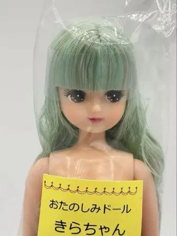 키라짱 오타노시미 인형 아이스 블루 계열 리카짱 캐슬 리틀파