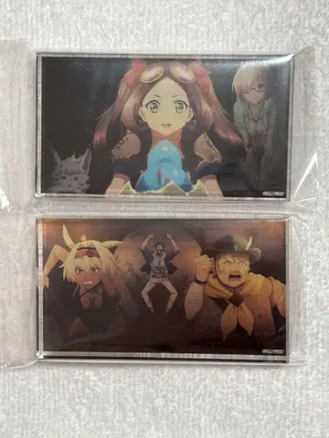 FGO 아크릴 블록 다빈치 마슈 카이니스 고르돌프 검은 수염