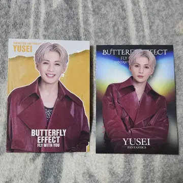 야기 유세이 포토 카드 시크릿