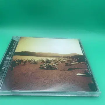 8월의 시정 Lamp