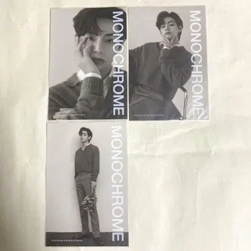 BTS MONOCHROME 프린트 사진 V 태태